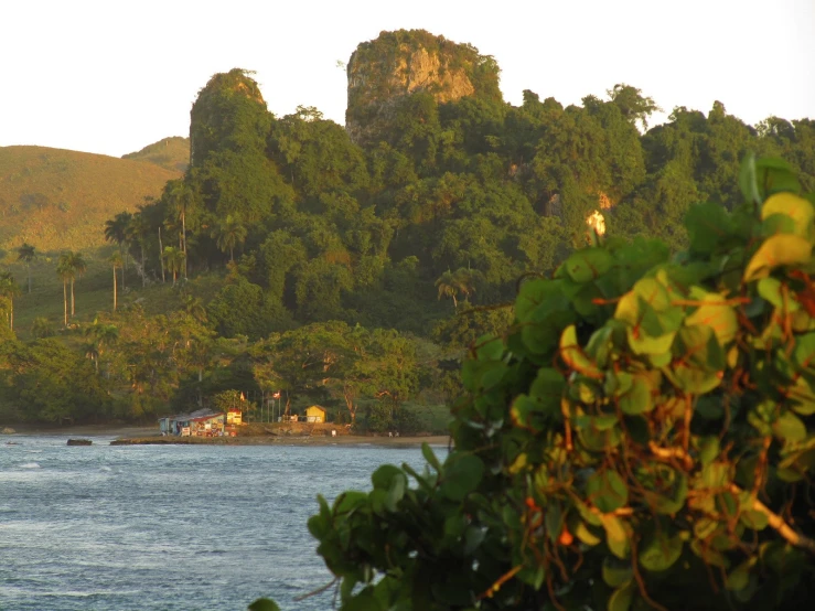 an island with trees in the foreground, and a small beach on the far shore