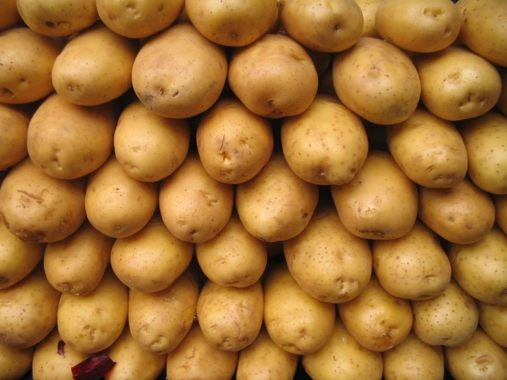 several yellow potatoes in pile, top view
