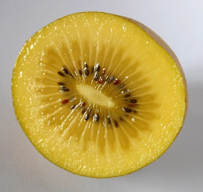 a kiwi slice with its seeds and seeds removed