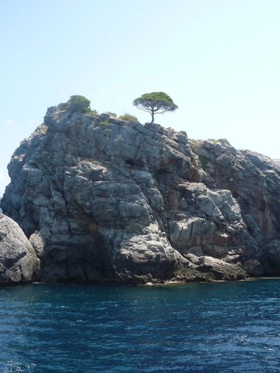 a tree is perched atop a rock outcropping