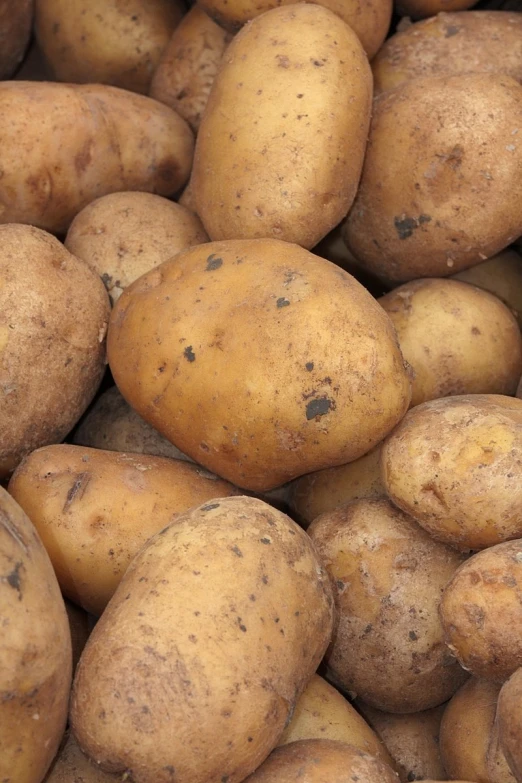 a group of potatoes that are sitting next to each other