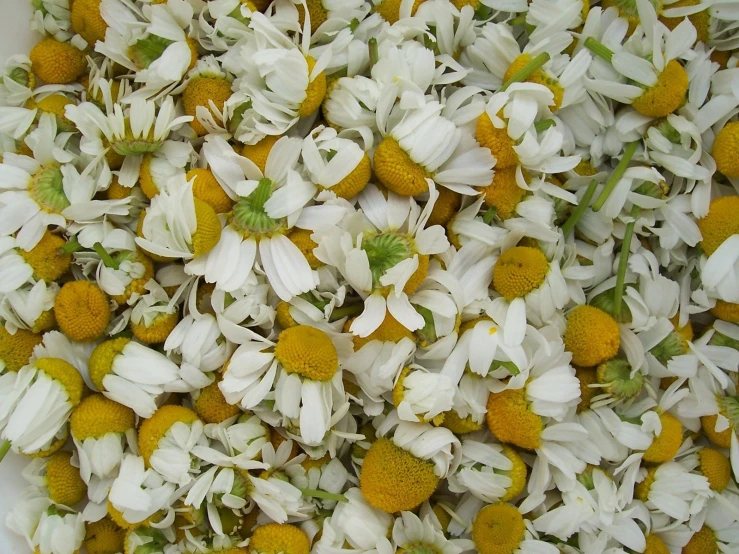 white and yellow flowers in a bowl