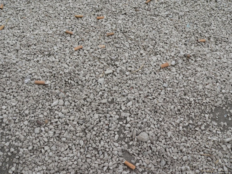 a bunch of small rocks are scattered in the pavement