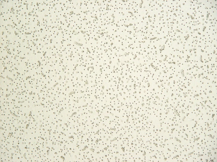 the texture of a wallpaper with tiny, brown dots