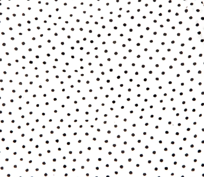 a white dotted background with many black dots