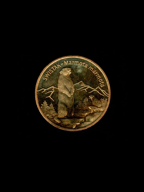 an american gold coin with the back side facing forward on a dark background
