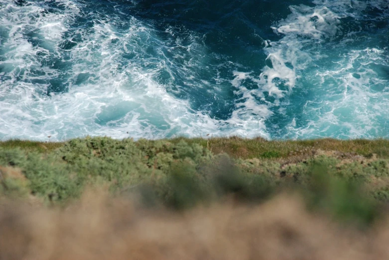 a bird is flying over an ocean with waves