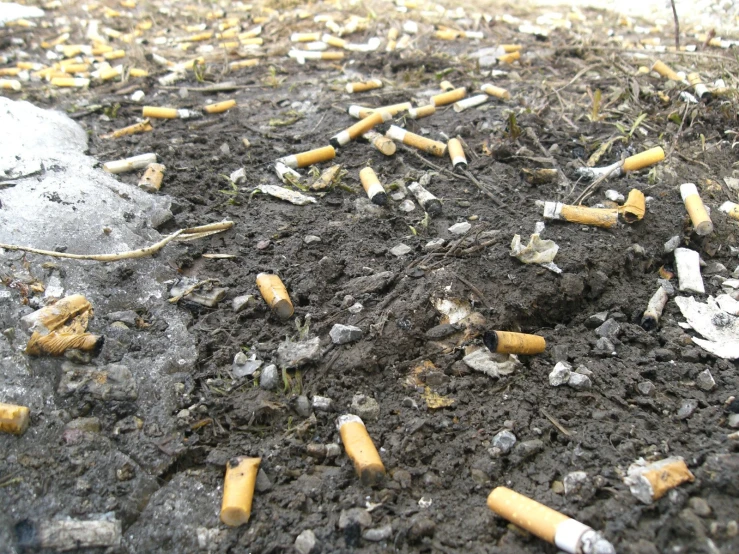 a bunch of cigarettes on top of dirty ground