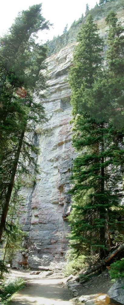 a rocky and wooded canyon is shown with green trees