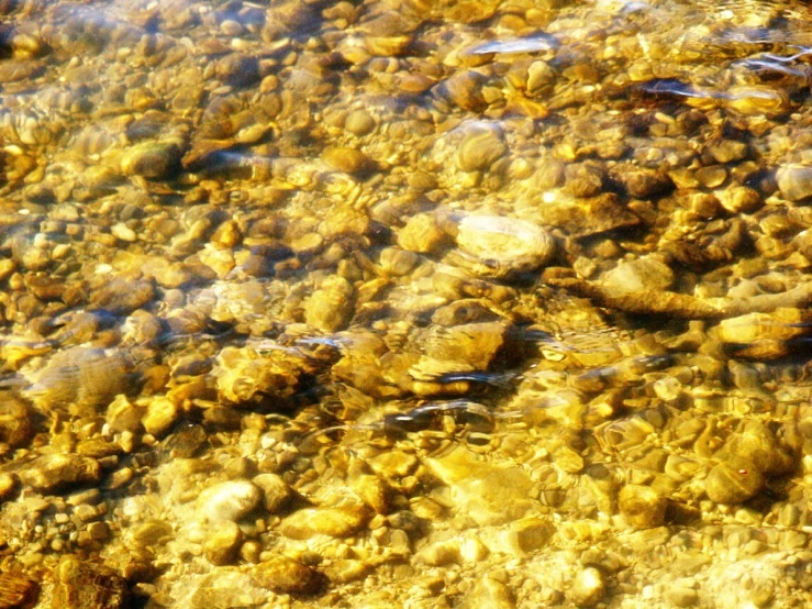 the water is crystal clear as seen from above