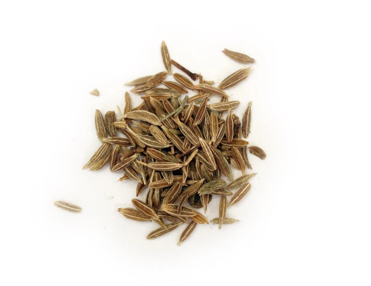 dried fennel seeds laid out on white background