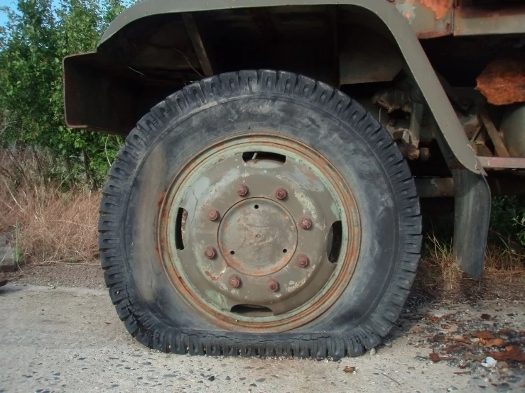 a big truck wheel and a tire sitting by some bushes