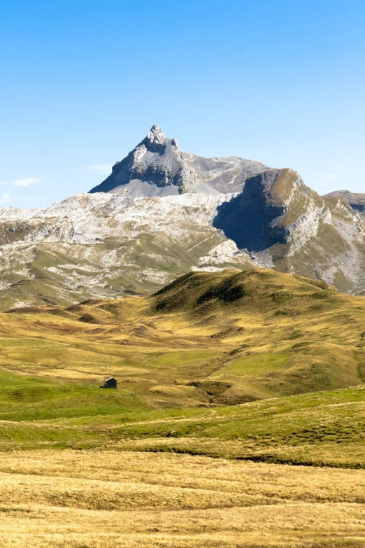 two sheep graze on grass in a mountain landscape