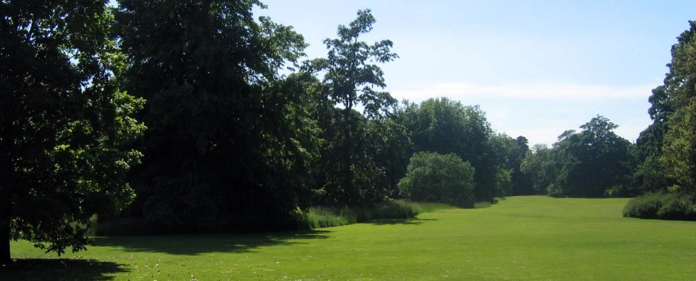 a grass field with some trees along the sides