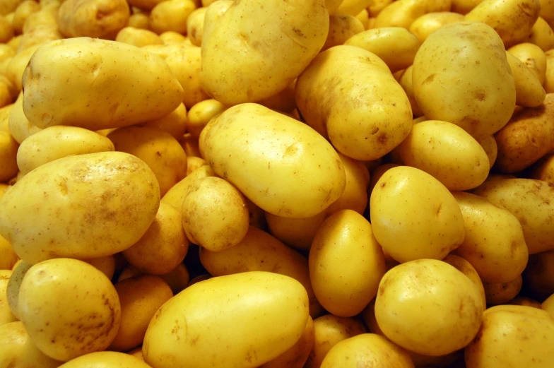 yellow potatoes stacked up in a pile