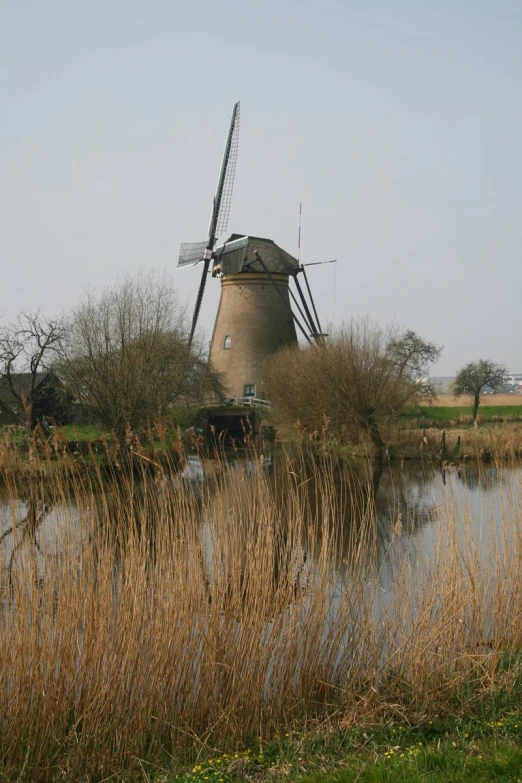 a windmill sitting next to a lake with some bushes