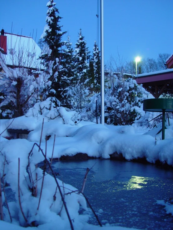 the sky is very blue in color this winter