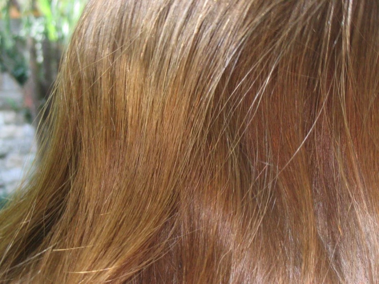 a close - up view of the texture of blonde hair