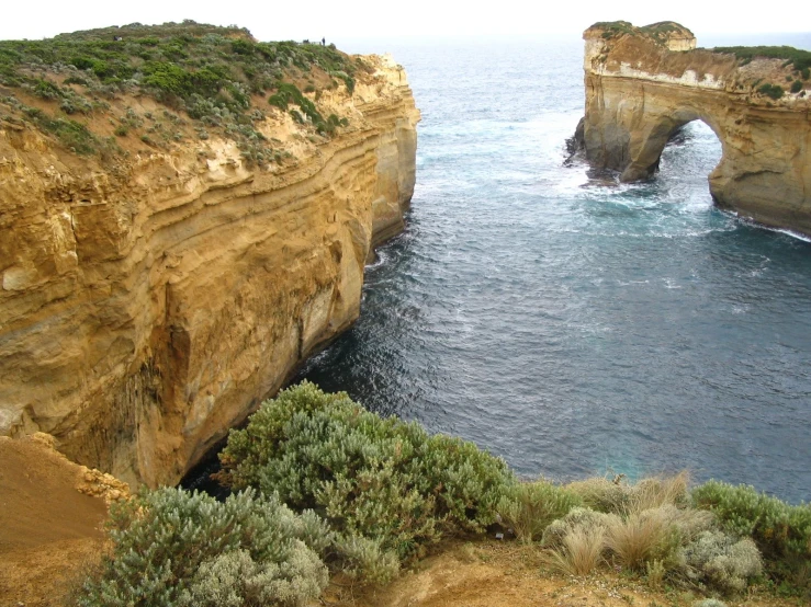 the cliffs along the ocean are covered in vegetation