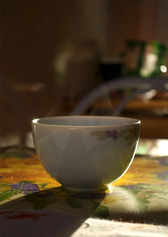 a white bowl on a table in the sun