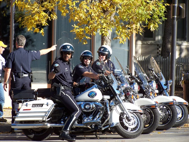 a group of motorcycle cops are sitting on their motorcycles