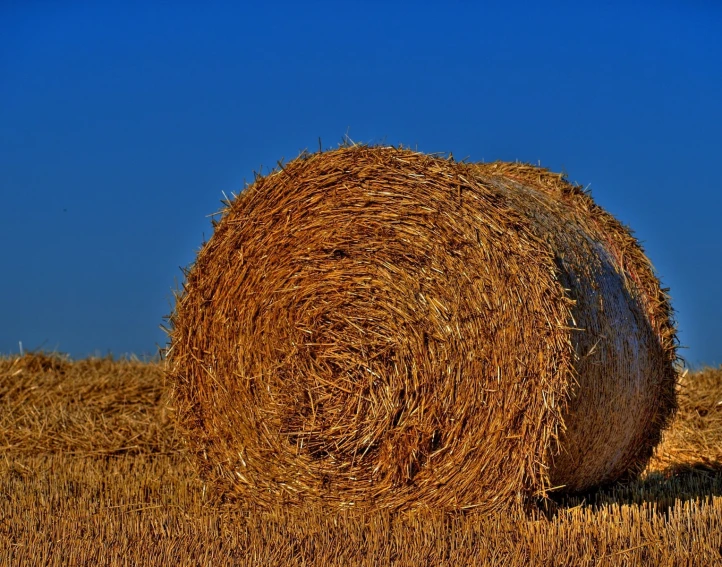 hay bales sitting in a field near a building
