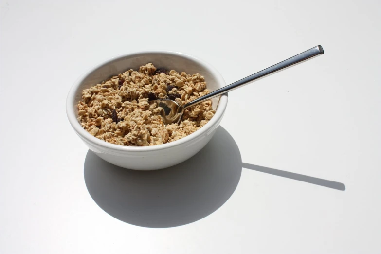 a bowl that has oats and some fruit in it