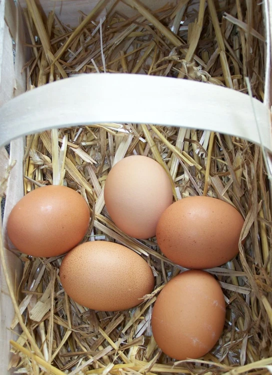 a box filled with three brown eggs in straw