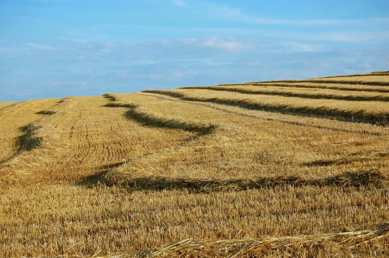 there are some hay laying in the middle of the field