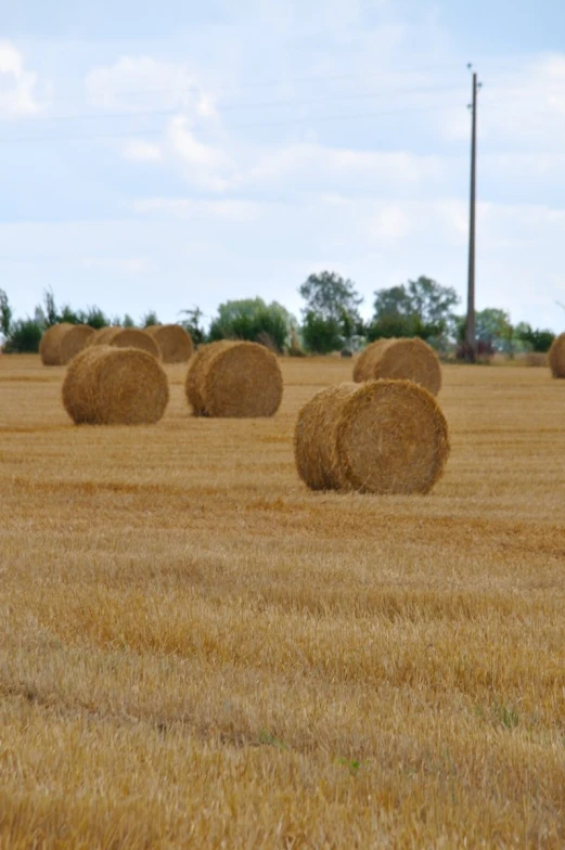 three bales of hay sitting in the middle of a field