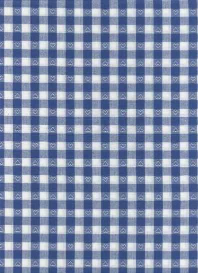a plaid fabric is shown in blue and white