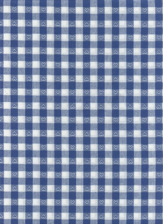 a plaid fabric is shown in blue and white