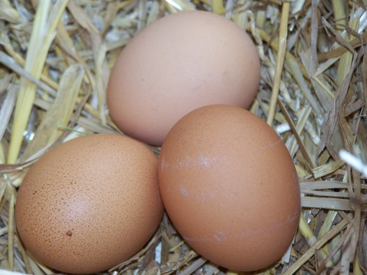 three eggs laying inside of a wooden box