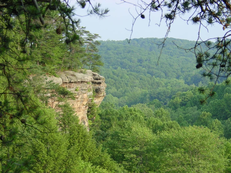 an image of a landscape with green trees