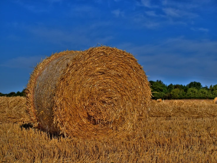 there is a large round hay ball sitting on the ground