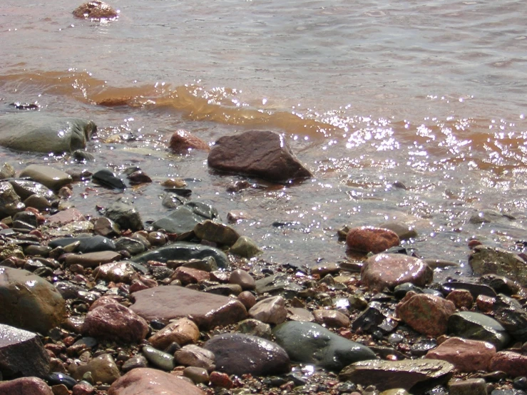 rocks and water in the ocean with a bird