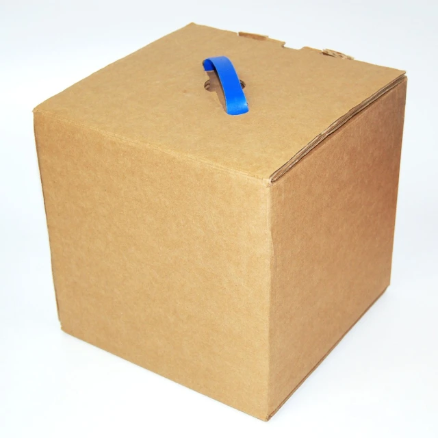 the brown cardboard box has blue tape on top