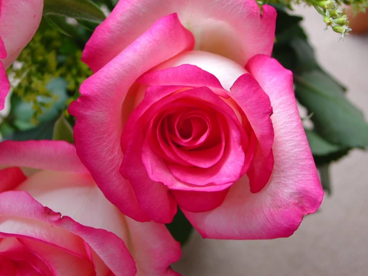 an elegant flower arrangement of pink and white roses