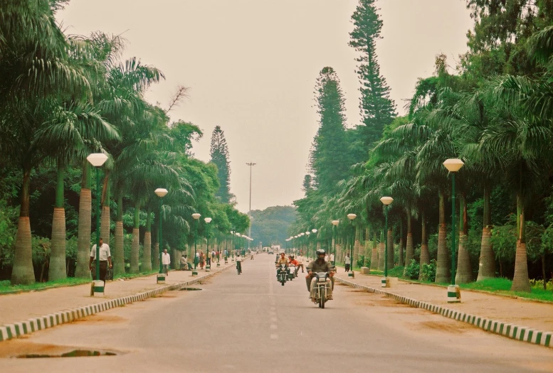 three people are riding their bikes down a street