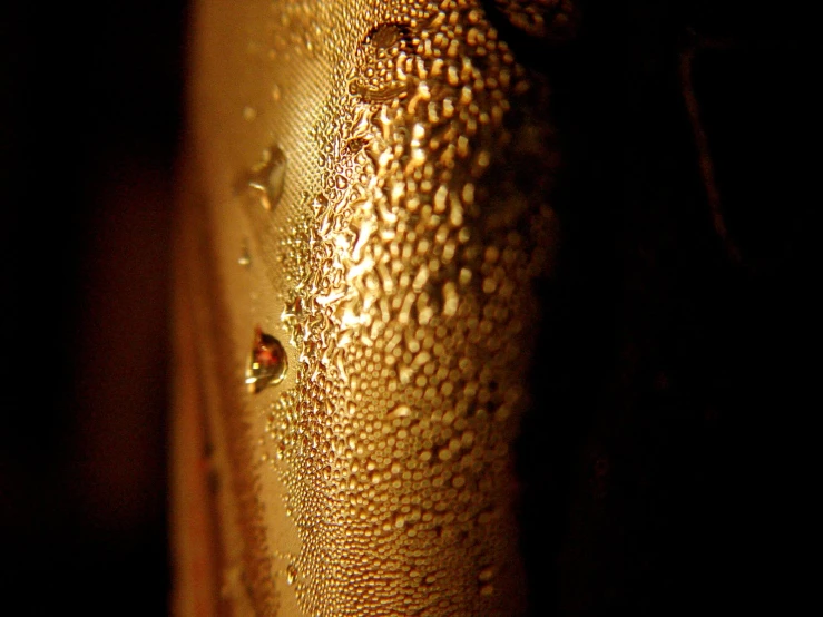 droplets of dew sitting on the side of a metal object