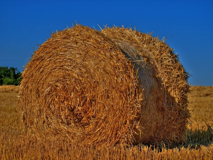some very big hay bails out in a field