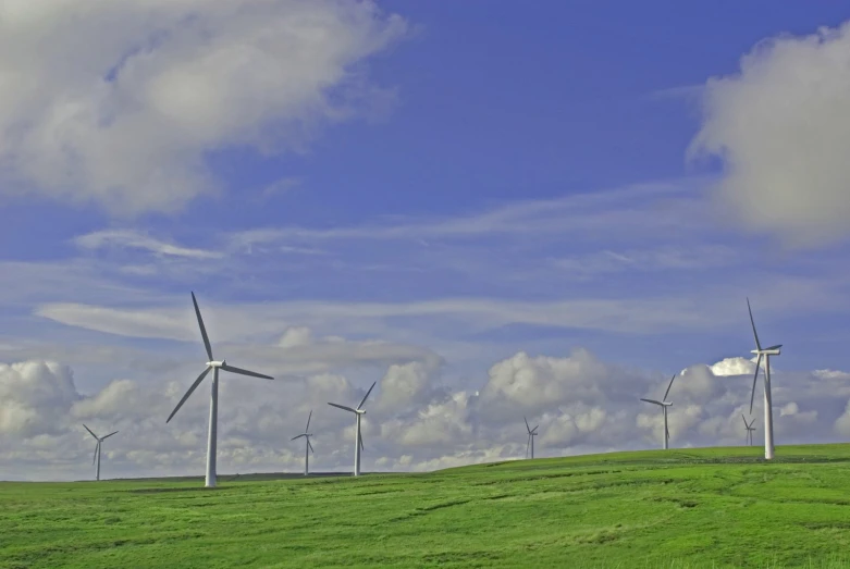 a bunch of wind turbines in the middle of a field