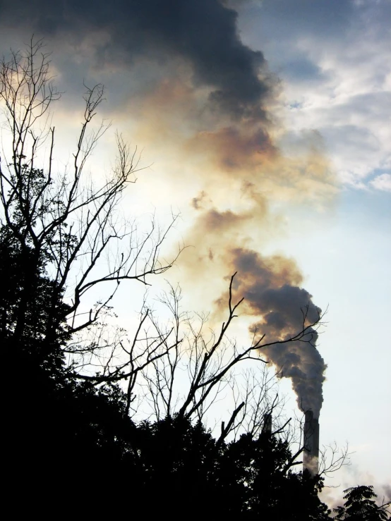 an emits smokestack in the sky over a forest