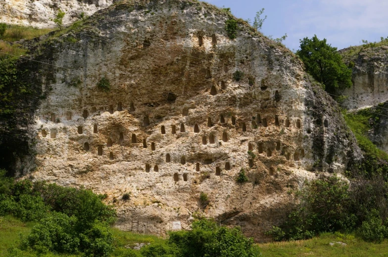 a cliff is shown with rocks and trees on top