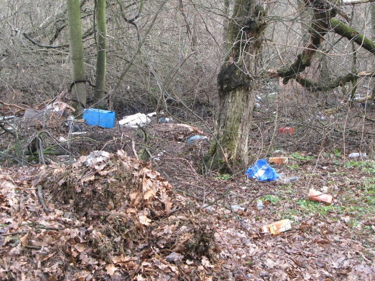 trash and rubbish in an area surrounded by trees