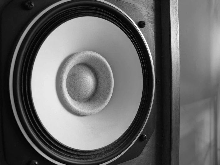 closeup of an opened speaker with some kind of disk