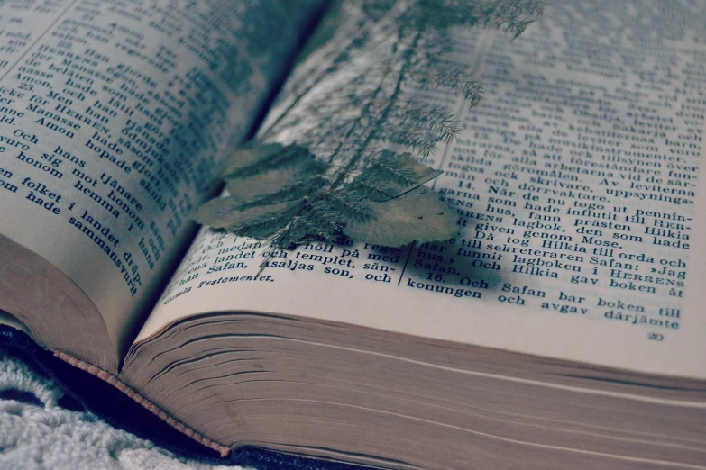 a plant is seen in the pages of a book