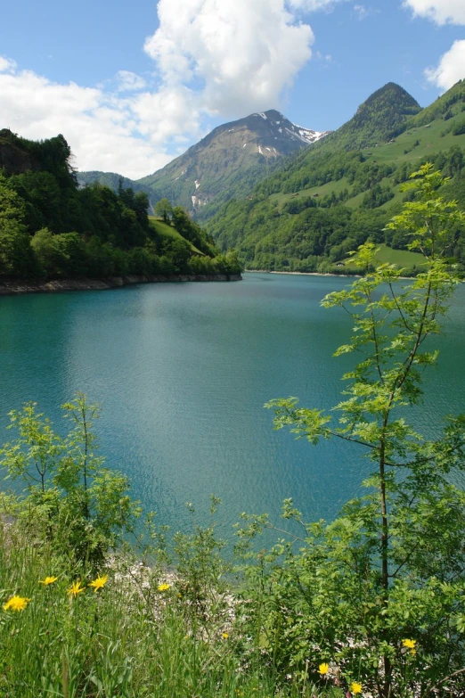the blue water is surrounded by trees and hills