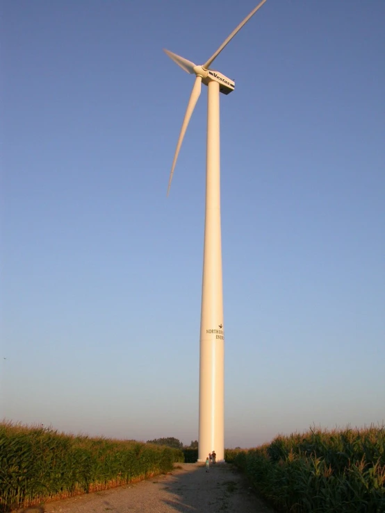 a wind mill in the middle of a road