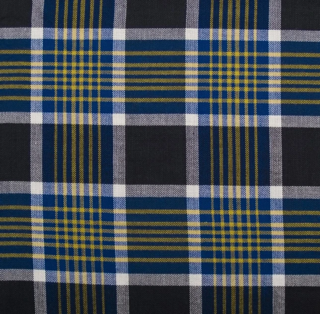 the blue plaid fabric is shown in this image